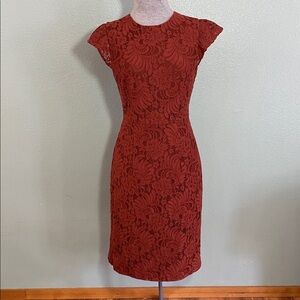 H&M Fall Lace Dress